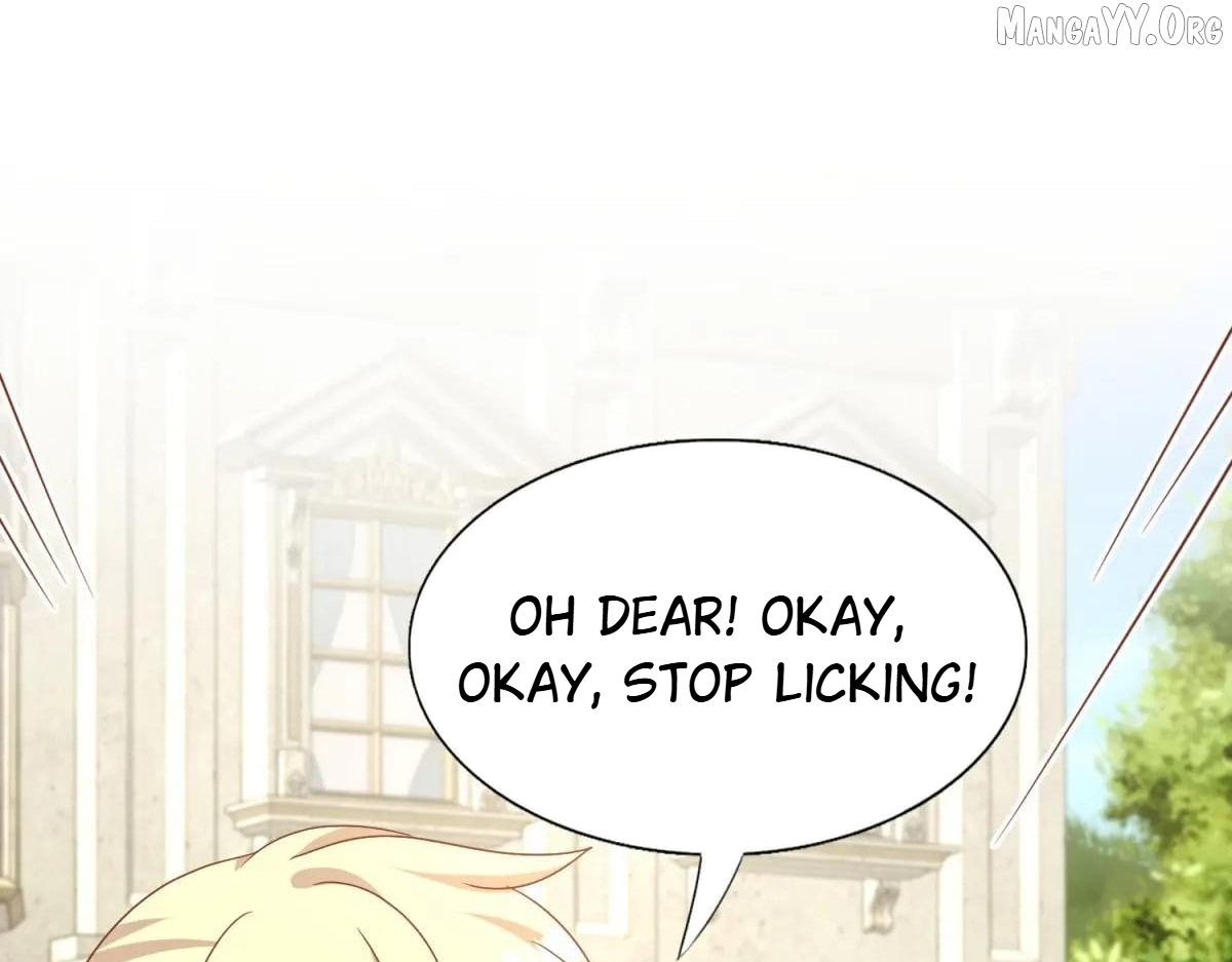 Don't Embarrass Me Chapter 184 - page 37